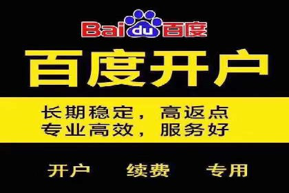 精准营销的利器：sem百度竞价的五大成功案例